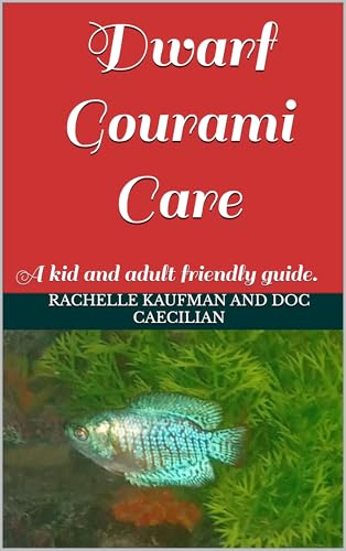 Dwarf Gourami Care: A kid and adult friendly guide.
