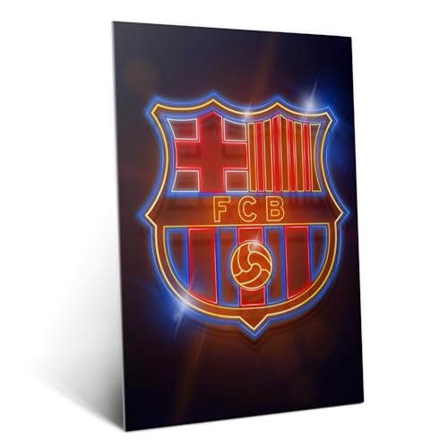 Poster FC Barcelona Métal Fixation Magnétique Sans Trou Displate