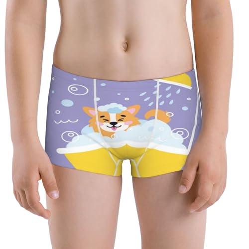Boys' Cotton Boxer Brief Soft Underwear-Corgi Washing In Bathtub