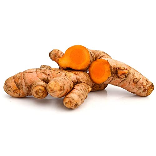 Nine Shani Fresh Turmeric Root 1 lb