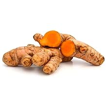 Fresh Turmeric Root for Cooking, Juicing, and Tea by Nine Shani 1 lb