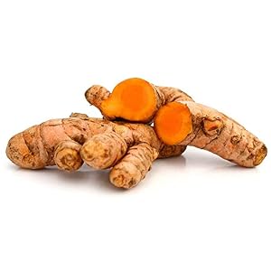 Fresh Turmeric Root for Cooking, Juicing, and Tea by Nine Shani (1 lb)