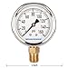 MEASUREMAN RV Water Pressure Regulator Replacement Gauge, 0-160psi, Lead-Free, Glycerin Filled, 2