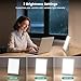 Light Therapy Lamp - 10000 Lux 3 Color Temperature & Wall Mount Therapy Light, Touch Control Daylight Lamps with Memory Function for Home/Office Use As Lift Mood.