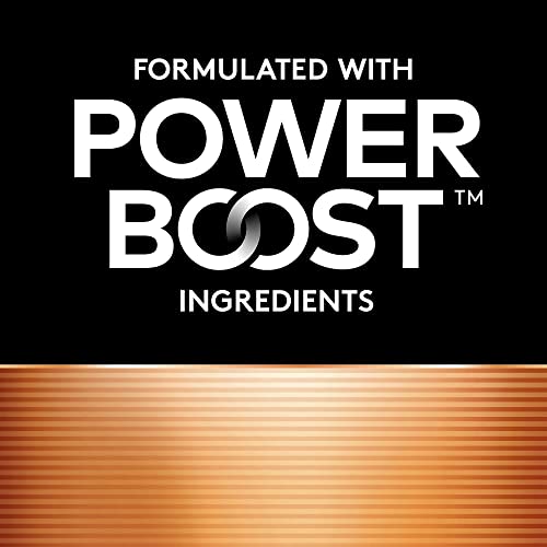 image for Duracell 2768001 Coppertop AA Alkaline Batteries 24/Pack (MN1500BKD), 