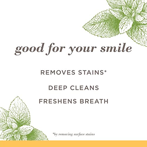 Burt'S Bees 192539000818 Toothpaste, Natural Flavor thumb #2