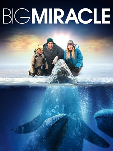 Big Miracle