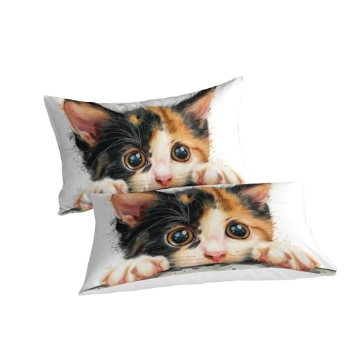 Parure de lit chat coloré microfibre hypoallergénique anti-plis