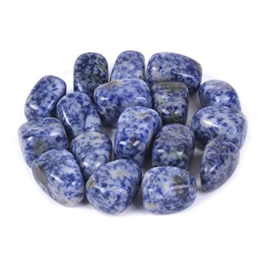 justinstones 1/2LB Large Blue Spot Jasper Tumbled Stone Specimen Collection Pocket Worry Healing Crystal Reiki