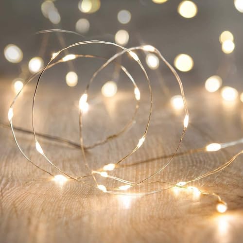 ECVV (2 Pieces) LED Fairy String Lights 10Ft/3M 30 Leds Firefly String Lights Garden Home Party Wedding Festival Decorations Crafting Battery Operated Lights | Warm White
