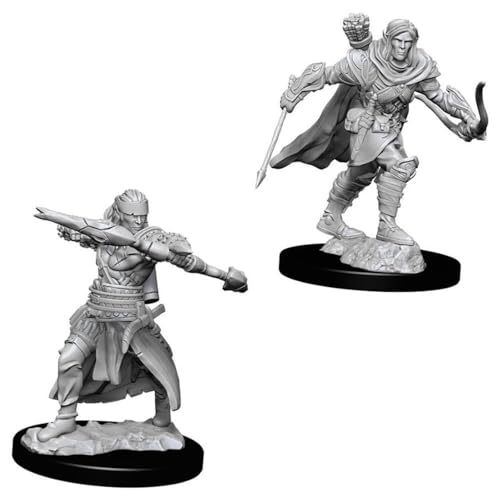 Deep Cuts Pathfinder Unpainted Miniatures: Wave 9: Gnome Male Sorcerer