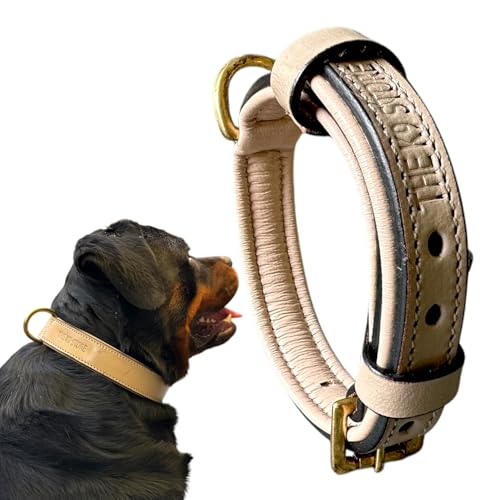 Image of High Graded Premium Leather Dog Collar- Dog Collar for Large Dogs, Dog Collar for Med, Dog Collar Belt (Grey, Size Neck - Small (11.5-14.5 Inch)