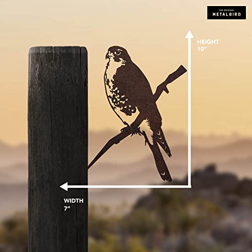 Metalbird - Peregrine Falcon - Outdoor Tree Ornaments In Corten Steel - Metal Art Proudly Made In America #TOP2