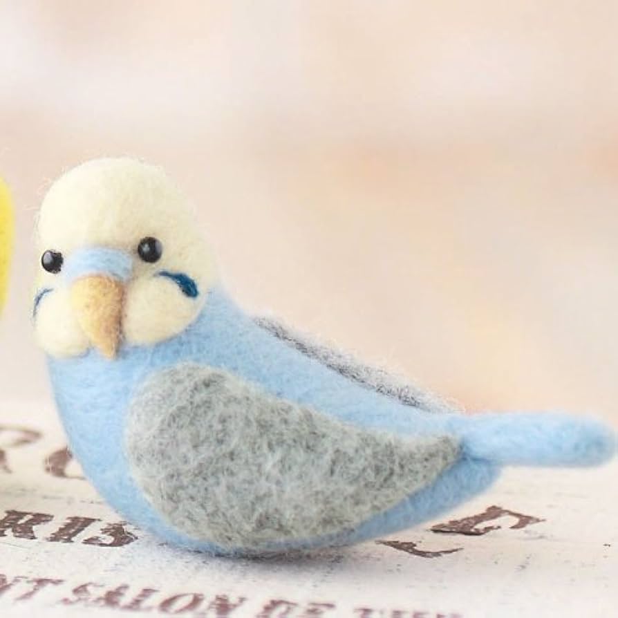 専用　羊毛フェルト　ハンドメイド　インコBOX 専用 羊毛フェルト ハンドメイド インコBOX