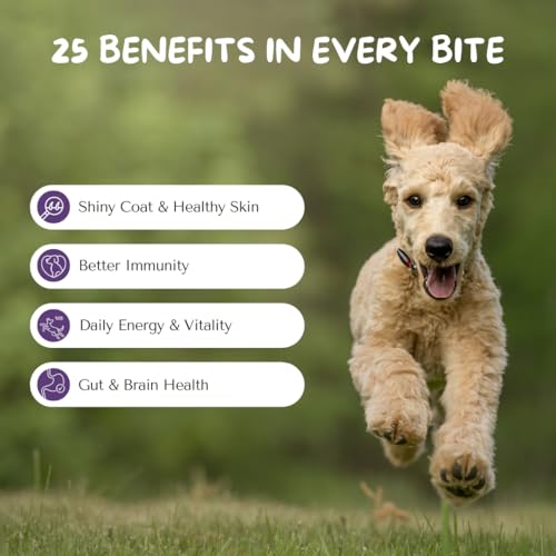 Image of Cuddl 25-in-1 Dog Supplement | Multivitamin Chews for Joints, Bones, Gut, Skin, Immunity | Vitamins, Minerals, Calcium, Biotin, Choline | No Fillers or Preservatives | All Ages