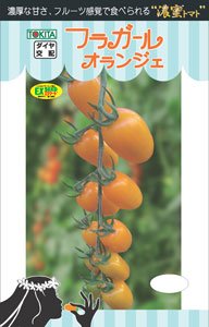 ؎q ytK[IWFz~jg}g ܁i8j