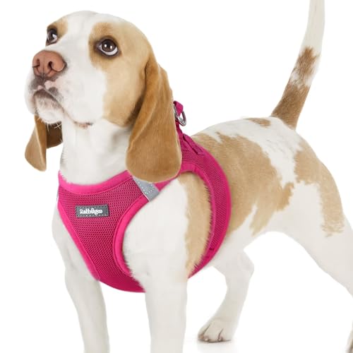 rabbitgoo Small Dog Harness, Step-in Soft Mesh Puppy Vest with Safety Buckle, Breathable Reflective Pet Harness for Small Sized Dogs, Rose Red M