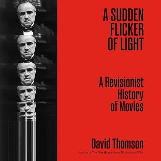 A Sudden Flicker of Light cover art