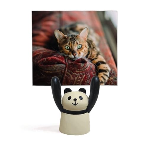 Support photo chat œil vert et panda en résine pour bureau