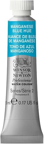 Vista 310 de Winsor & Newton - Pintura para acuarela profesional