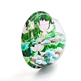 DealMux Wallbowed Acrylic Fishbowl Betta Tank Hanging Plant Pot Bowl Decoración del hogar