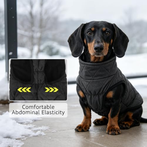 Image of SCENEREAL Dachshund Winter Dog Vest Coat with Harness Built in