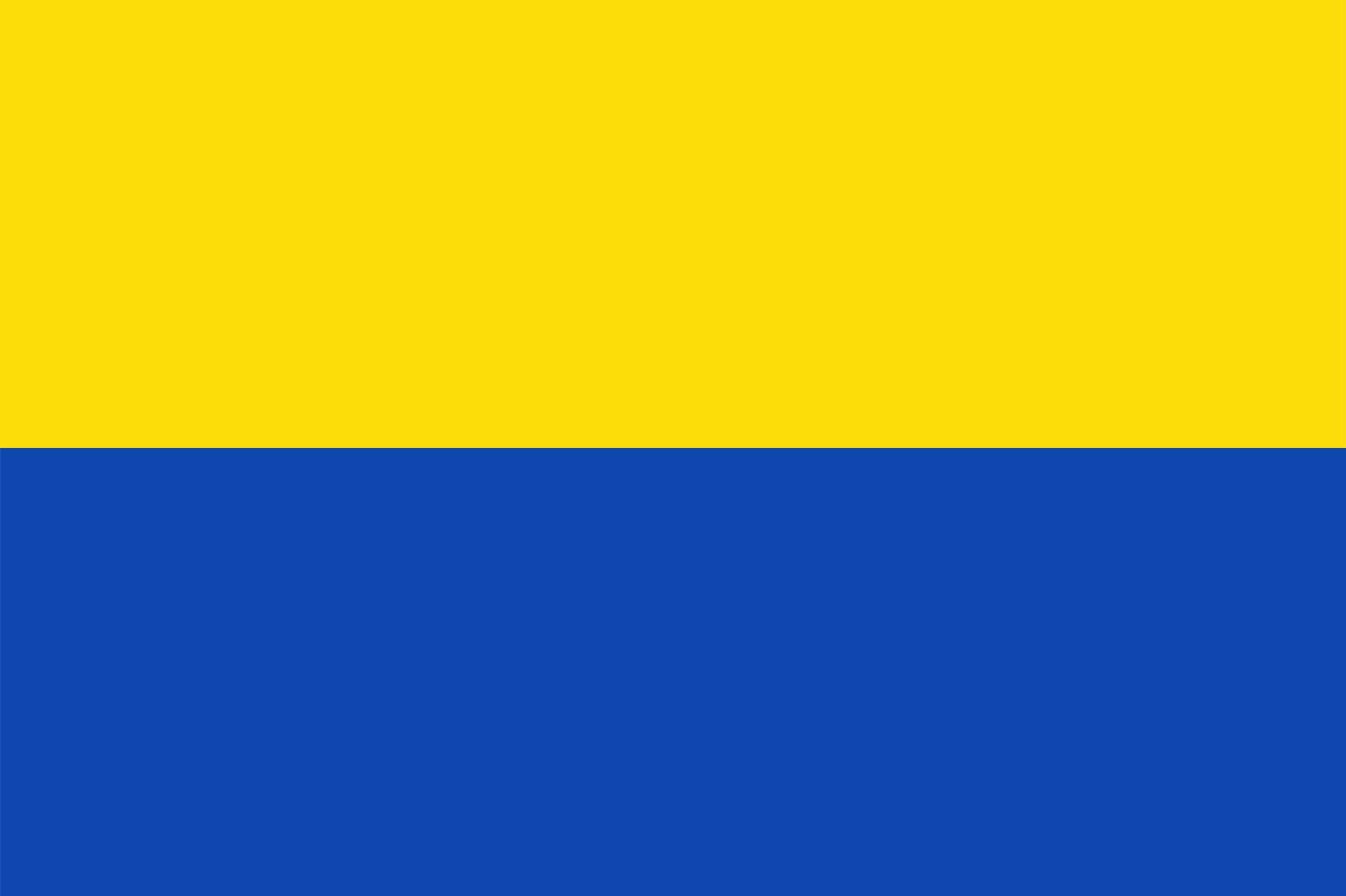 Drapeau Large Veenendaal vlag 1962 pour collectionneurs