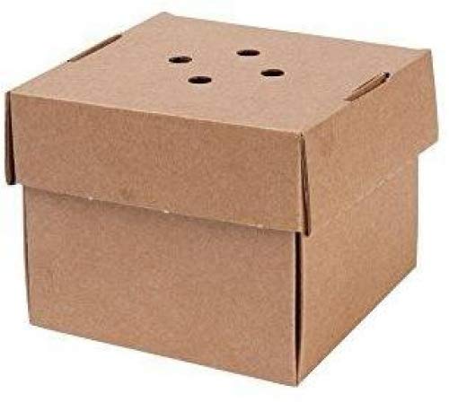 BIOZOYG 100 Contenitori Hamburger Box con Coperchio Pieghevole I Scatole per Hamburger Compostabili di Cartone Kraft con Fori I Robuste Scatole per Cibo da Asporto marroni 13x13x10cm, quadrate