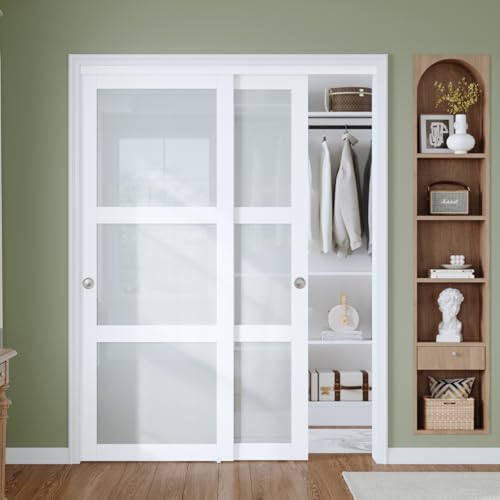 Finosen Preassembled Sliding Closet Door 60"×80"(Double 31"), 3-Lite Frosted Glass