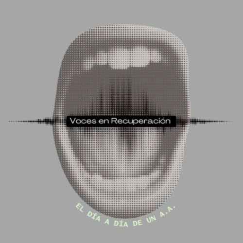 Voces en recuperaci&oacute;n, el d&iacute;a a d&iacute;a de un A.A. copertina
