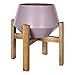 HomeRoots Light Purple 55% Metal 45% Wood Pink Hexagonal Planter with Wooden Base