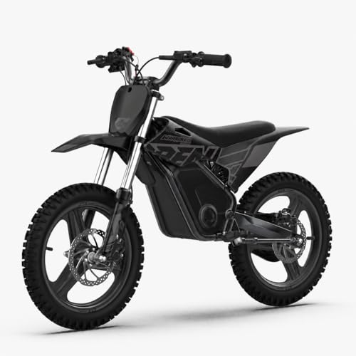 Image of RFN SX-E800 Kids Electric Dirt Bike, 16-Inch Electric Motorcycle with 900W Peak Brushless Motor, 21.7 MPH Max Speed, 15.5-Mile Range, Hydraulic Disc Brakes, Ages 4-8, Black