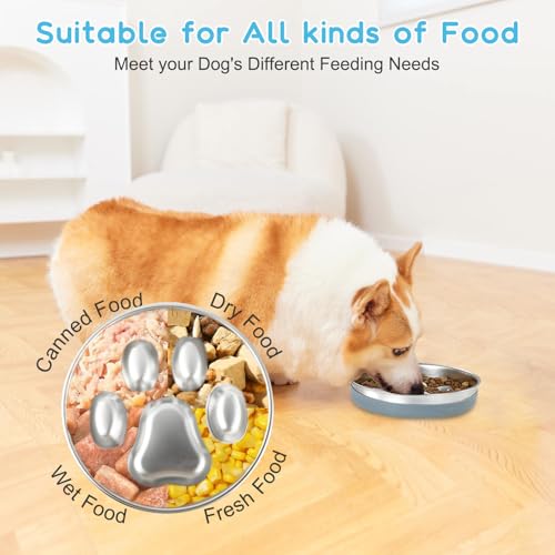 Antischlingnapf Hunde 304 Edelstahl, 1L Anti Schling Napf Hund mit Rutschfester Silikonmatte, Hundenapf Slow Feeder Metall, Futternapf Hund für mittelgroße und große Hunde Katzen