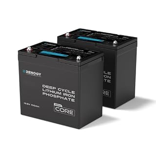 Renogy 12V 100Ah LiFePO4 Lithium Battery for Trolling Motor Group 24 2PCS