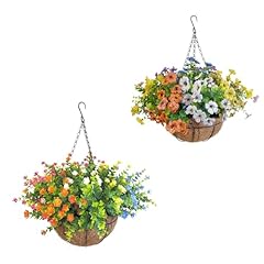 Multi(2wt-2pk-2yl-2or-2bl-gn+2wt-2pk-2yl-2or-2bl-2pl)