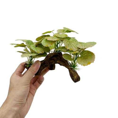 Image of Fish Tank Decorations Aquarium Decor Ornaments Betta Silk Leaf pad Hammock Artificial Driftwood Cave Goldfish Bowl Accessories