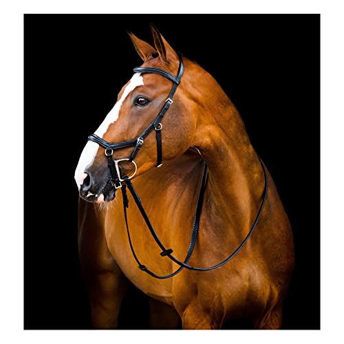 Rênes Micklem Deluxecomp Horseware en cuir noir supérieur