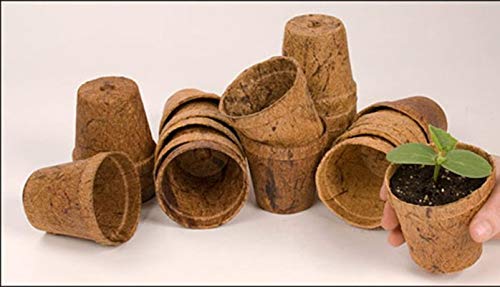 BIO BLOOMS AGRO INDIA PRIVATE LIMITED Coir Fibers Ecofriendly Seed Germination Cup Pots for Seedling - Bio_45 (Standard) - 10 Pieces (B08M5X4W7P) Amazon Price History, Amazon Price Tracker