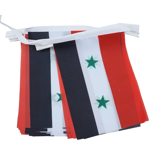 Image of AZ FLAG Syria 6 meters BUNTING Flag 20 flags 9'' x 6'' - Syrian STRING flags 15 x 21 cm