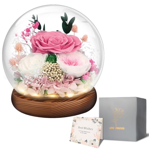 Preserved Flowers Valentines Day Gifts, Gifts for Her, Mom Wife Grandma Girlfriend, Fresh Flowers...