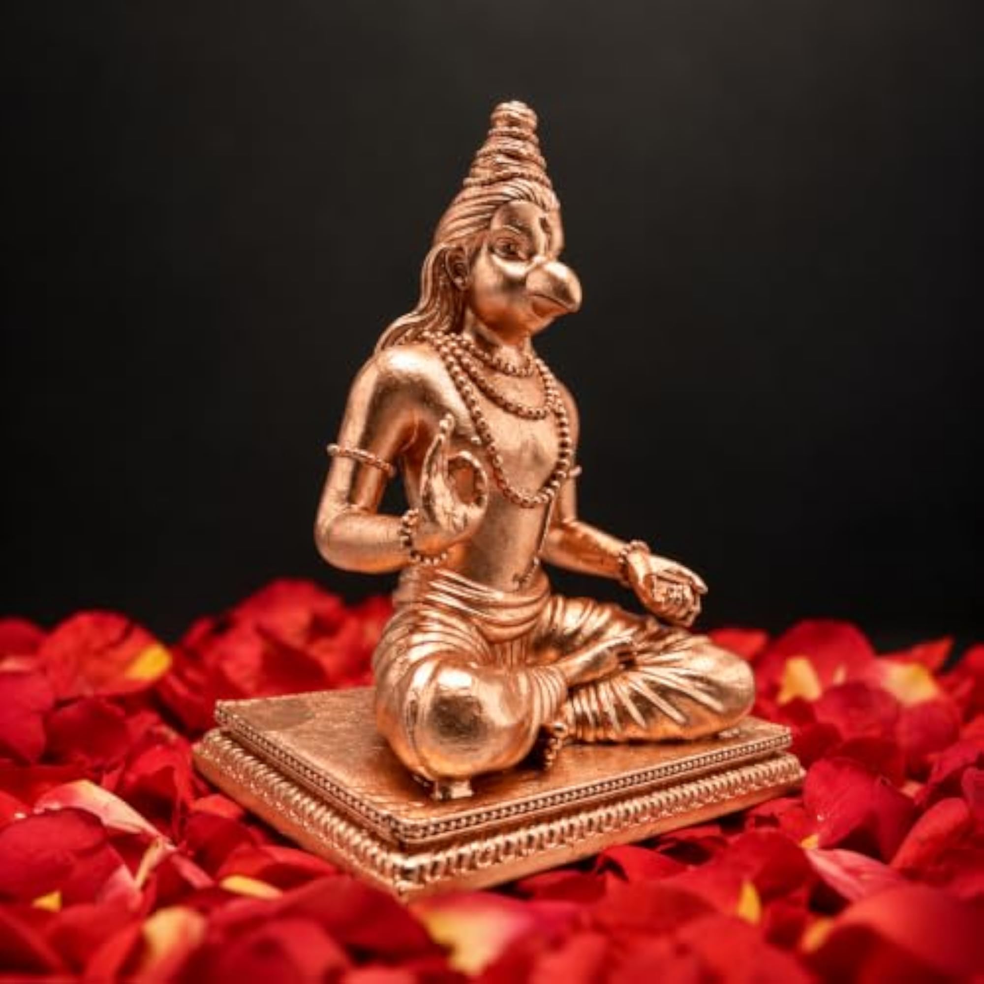 Suka Brahma Maharishi Idol