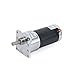 EdricShop DC Motor Zgb42Fee Reducer DC Permanent Magnet Motor Reversing 10-500Rpm - (Speed(Rpm): 24V 30Rpm)