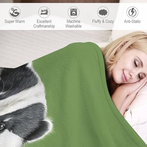 Manta de tejón suave, manta de sofá y cama de forro polar 6