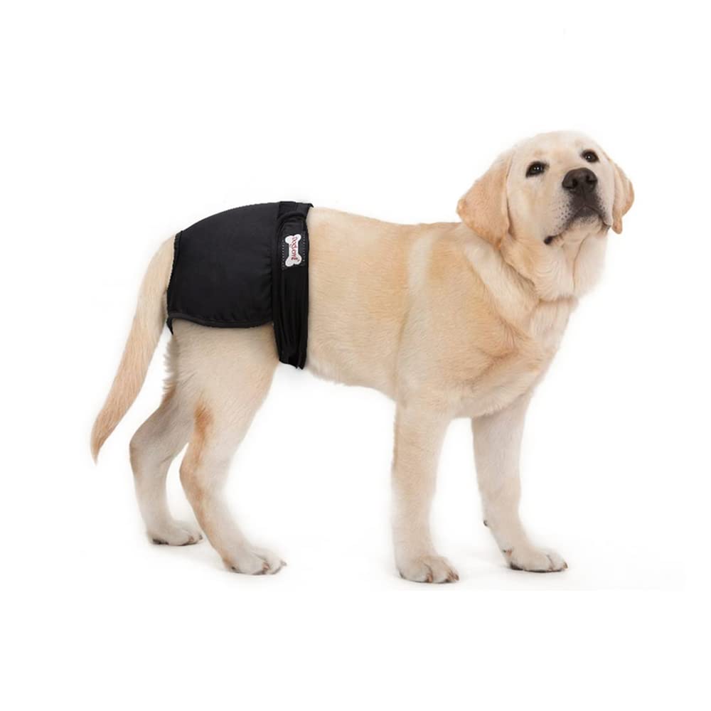 NeoStyle Washable Female Dog Diapers, Reusable Highly Absorbent Girl Heat Diaper Small Medium Large Wrap Durable Hygienic Pants Dog Tail Cover (Black, L:36-54 cm Waist)
