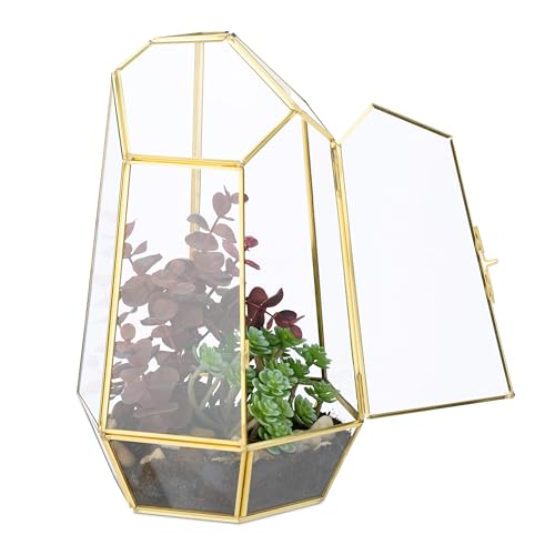 Relaxdays Pflanzenterrarium, Glas & Kupfer, HBT: 26x18x15 cm, Glaskasten Kakteen & Moos, geometrisch, Fensterbank, gold