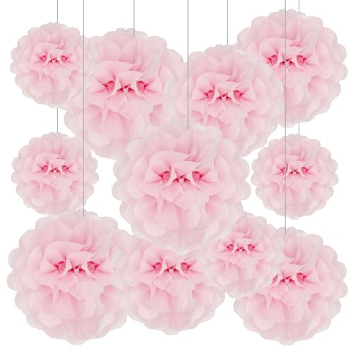 Tissue Paper Pom Poms, Light Pink Tissue Paper Flowers, Hanging Flower Balls for Weddings Fiesta Parties Birthday Baby Showers Classroom Bridal Shower Decoration (20Piece Set-6/10/12/14Inch)