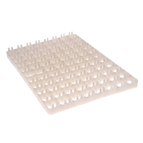 Nouler Juler 5Pcs Spare Parts 88 - Incubator Incubator Egg Tray Brooder Poultry Chicken Chop #TOP6