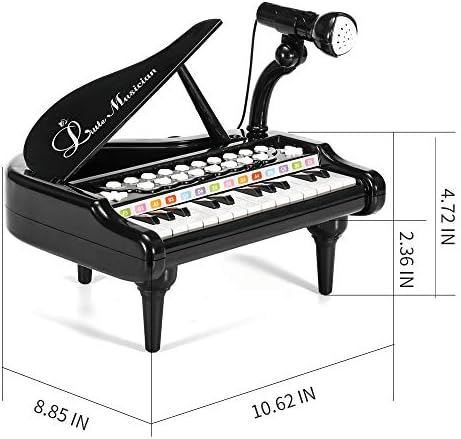 24 Keys Keyboard Kids Toy Piano with Microphone - Black 2 41c0Kabt4SL. AC