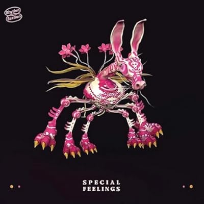 SPECIAL FEELINGS