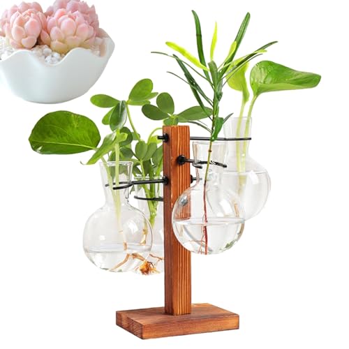 Jomewory Terrario De Plantas Con Soporte De Madera, Estación De Propagación De Plantas | Kit de macetero hidropónico | Florero de con forma de bombilla moderna, florero de con bombilla de terrario con